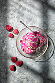 Bowl of Beetroot Ice Cream on a rustic metal surface decorated with Raspberries