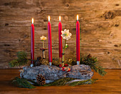 Advent arrangement of hellebores, pine cones and conifer branches in bowl of pine bark