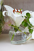 Weiße Lilienblüte im Glas