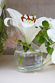 Lilium white