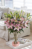 Lilium Pink News