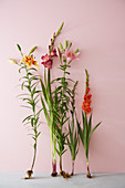 Lilium und Gladiolus Stilleben