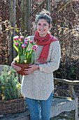 Frau trägt Topf mit Tulpe 'Wirosa'