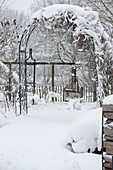 Snow-covered rose arch in the garden