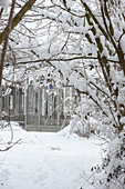 Gewächshaus im verschneiten Garten