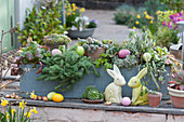 Easy-care box with perennials and succulents decorated for Easter with Easter bunnies and Easter eggs
