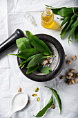 Ingredients for wild garlic pesto (wild garlic, sea salt, pistachios and oil)