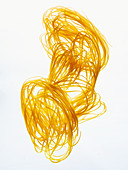 Linguine on a White Background