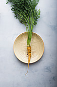 A freshly harvested yellow carrot (daucus carota) on a ceramic plate