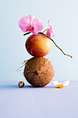 A coconut, a mango and an orchid stacked on top of each other with a nutmeg and curry