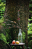 Larch branches in glass bottle in front of tree in woods