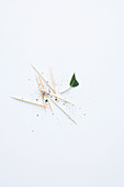 Toothpicks and sage leaves for saltimbocca