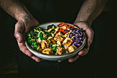 Hände halten Tofu-Reis-Bowl mit Gemüse