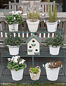 White plant pots and bird nesting box on plant stand