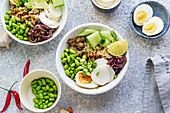 Vegetarische Lunch Bowl mit mariniertem Ei und Edamame