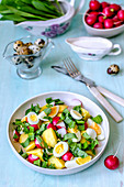Spring salad with quail eggs, wild garlic, radish, boiled potatoes