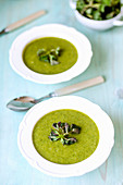 Cream of nettle soup in two white plates, decorated with fresh sprigs of nettle on a blue table