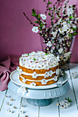 Biscuit cake with butter cream, decorated with apricot flowers. Against the background with apricot flowers