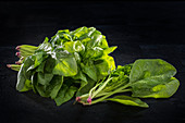 Fresh spinach