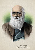 Charles Darwin, English Naturalist