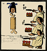 Tobacco In Aztec Ritual, Florentine Codex