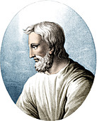 Pedanius Dioscorides, Greek Physician