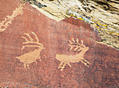 Legend Rock Petroglyph