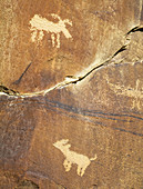 Legend Rock Petroglyphs