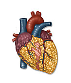 Unhealthy Heart, Illustration