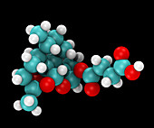 Artesunate, Molecular Model