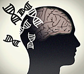 Alzheimer's Disease, Genetics Research