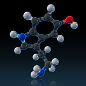 Serotonin, molecular model