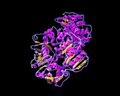 CRISPR, Molecular Model