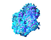 CRISPR, Molecular Model
