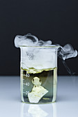 Dry ice acidifies water, 2 of 5