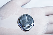 Gallium melting in a hand, 3 of 5