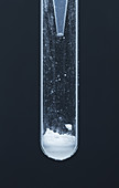 Calcium oxide reacts with water, 1 of 3