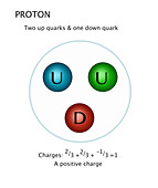 Proton Quarks, Illustration