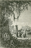 Christopher Columbus at San Salvador