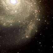 Pinwheel Galaxy, Northern Section, M101, NGC 5457