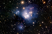 Reflection Nebula, NGC 7129
