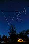 Orion, Betelgeuse, Procyon, and Sirius