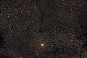 Barnard 104, Dark Nebula, Beta Scuti