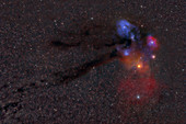 B44, Dark Nebula