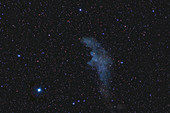 IC 2118, Witch Head Nebula