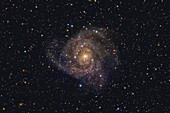 IC 342, Galaxy in Camelopardalis