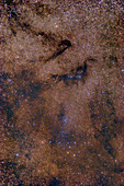 Dark Nebulae in Vulpecula