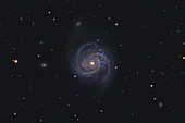 Galaxy M100 in Coma Berenices