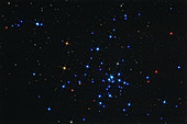 Open Cluster M21