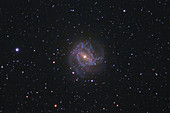 M83, the Southern Pinwheel Galaxy